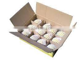 VIETNAM FRESH MANGO- BEST PRICE