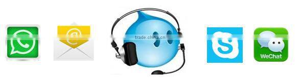 DX5 Head 1.8m Eco Solvent Inkjet Printer with Double Printheads