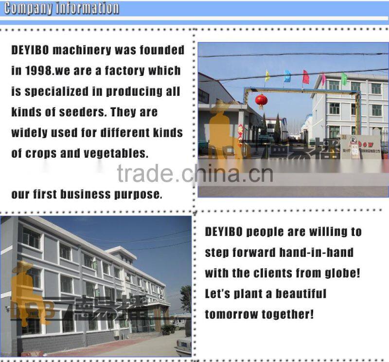 DB-S03 vegetable planting machine for seeds planting carrot