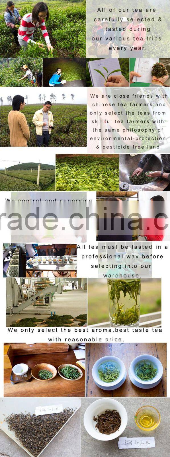 Mo Li Xian Zi Jasmine's Fairy Green Blooming Tea EU STANDARD