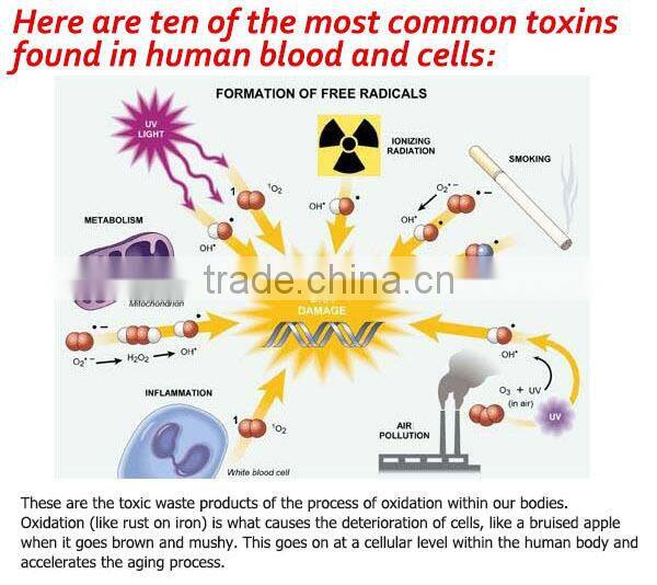 ion cleanse cell spa detox machine