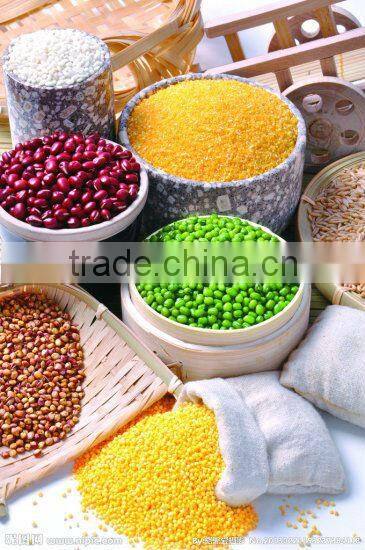 Electric corn grinder for chicken feed