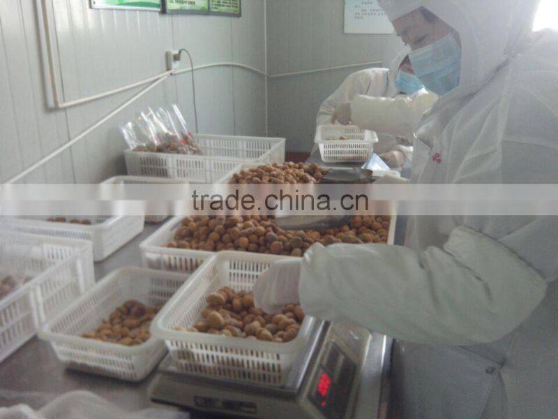 2015 good price of peeled chestnut packing with vaucum bag in china