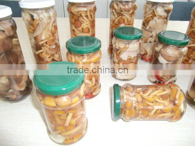 Canned Marinated Nameko Mushroom