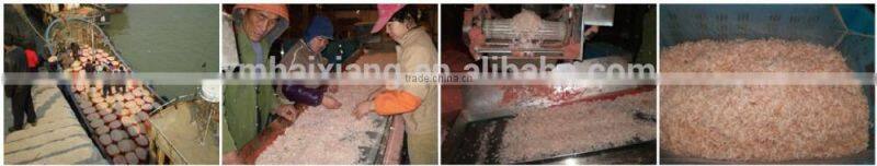 Dried baby shrimp supplier