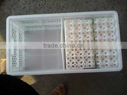 EGG Container Holder Box Refrigerator Storage Tray for 30pcs eggs HDPE