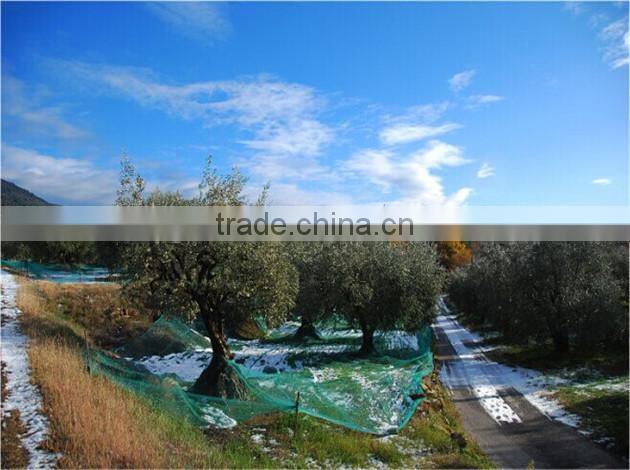 olive harvest net can be produced light color enhanced selvedge for tag(manufacturer)
