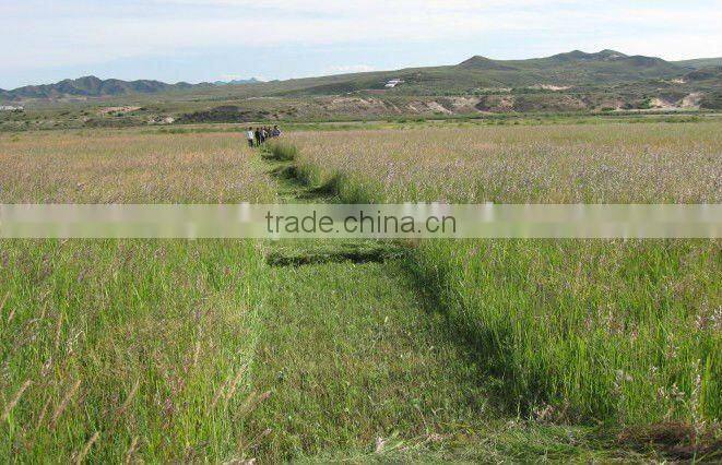 Fodder Harvester BCS617 / Walking Tractor Scythe Mower