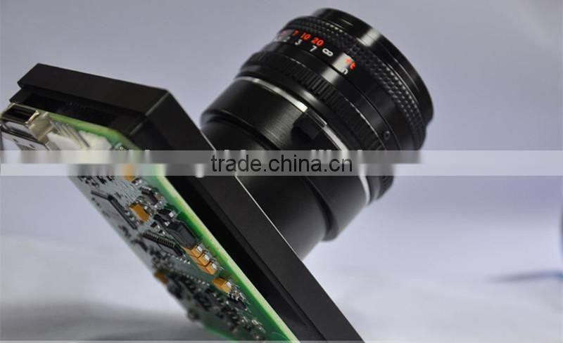 RGB Camera Accuracy Less Problem Big Capacity Peanuts Color Sorting Machine