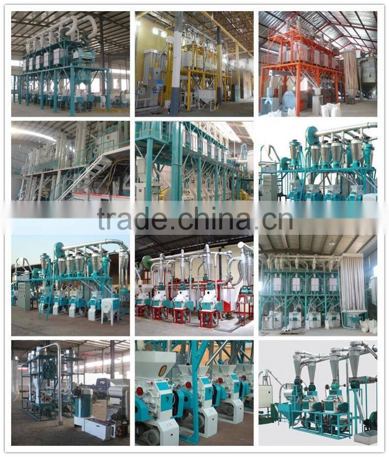 low price wheat flour mill machine /plant