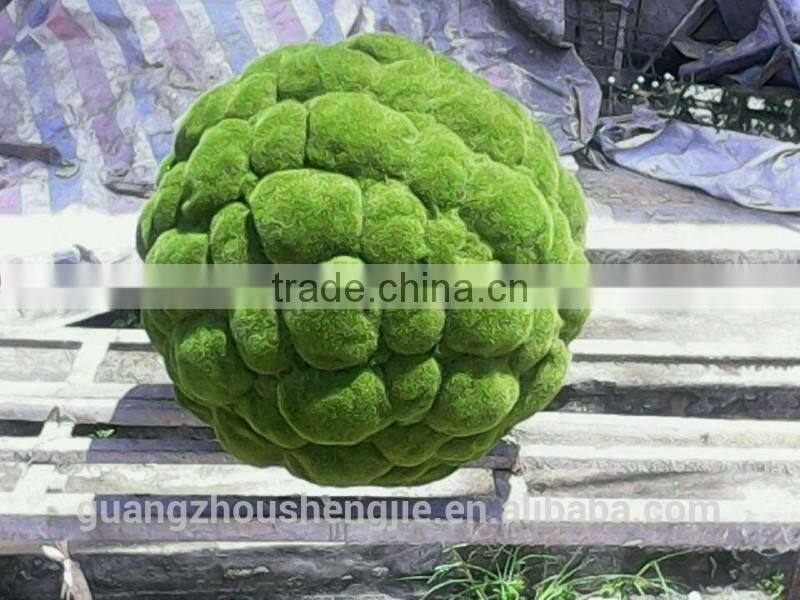 Q111923 China manufacturer making plastic artificial moss garden decoration moss ball