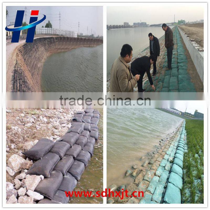 Flood control geobag
