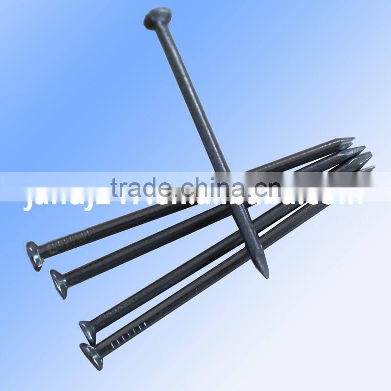 Polished Common Iron Nails with Factory Price