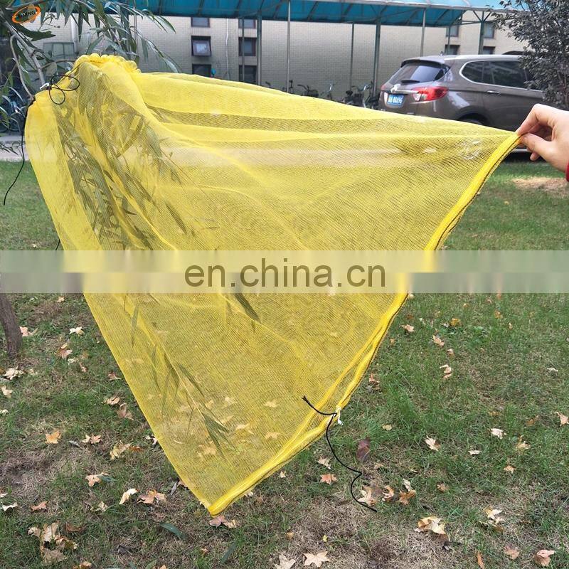 plastic mesh bag for harvesting the dates and the mangos