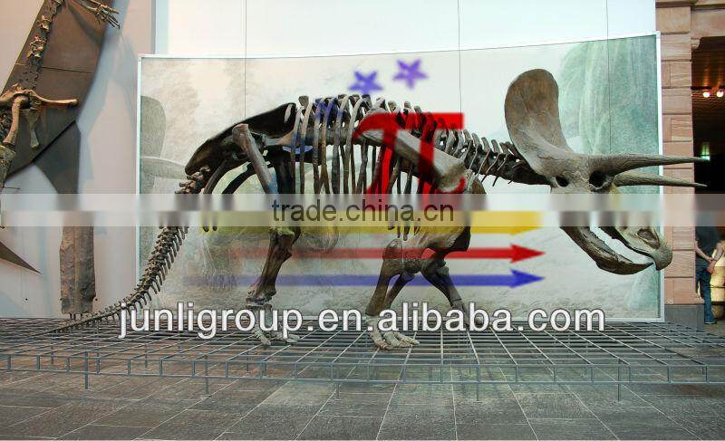 JLDF-G--0004 Emulation dinosaur skeleton mould for sale,head fossil