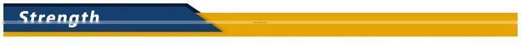 81N6-26600 CHAIN WITH 49 LINKS  R210LC-7 Chain Track