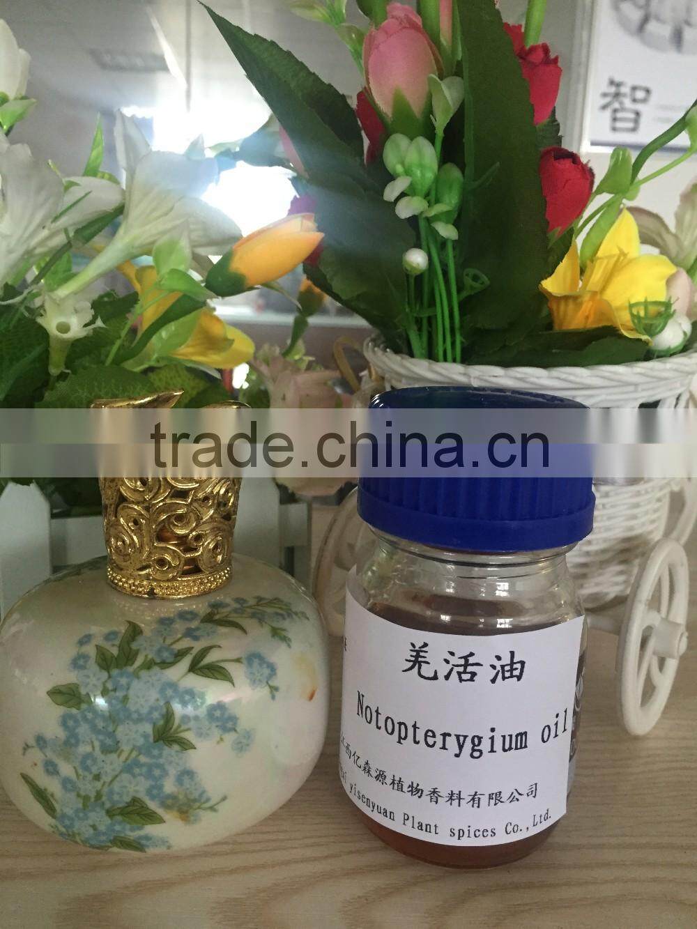 100% natural notopterygium root essential oil with high quality hot sale low price