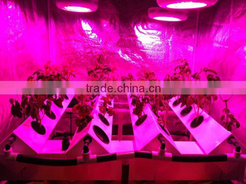 factory price of led grow light for global wholesales and agents