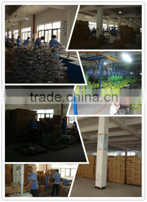 HH-K2093 20inch children bike kids bike for russia market with flag