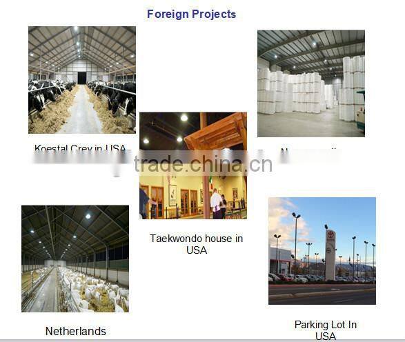 outdoor top quality 5 years warranty inducton solar street light