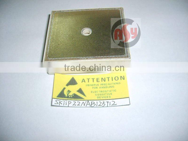 SKiiP23NAB125T12 IGBT Module