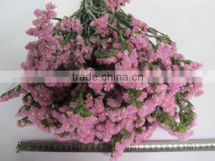 Fresh factory direct fresh cut myosotis flower