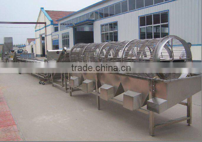 fruit and vegetable processing equipement/fruit processing machine ,vegetable sorter