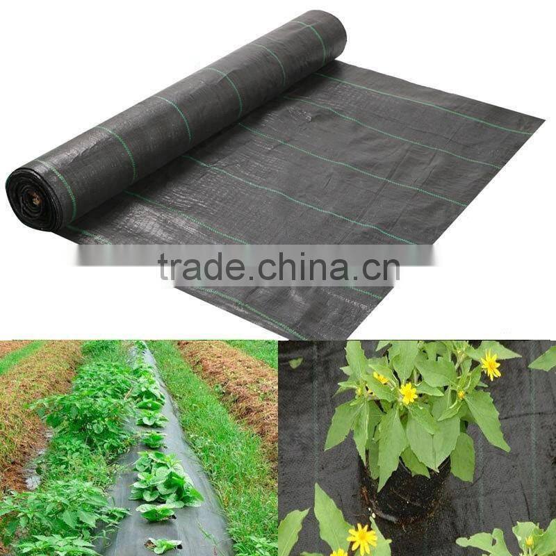 Weed Control Fabric Ground Cover Membrane Landscape Mulch Garden 100gsm 2M*200M