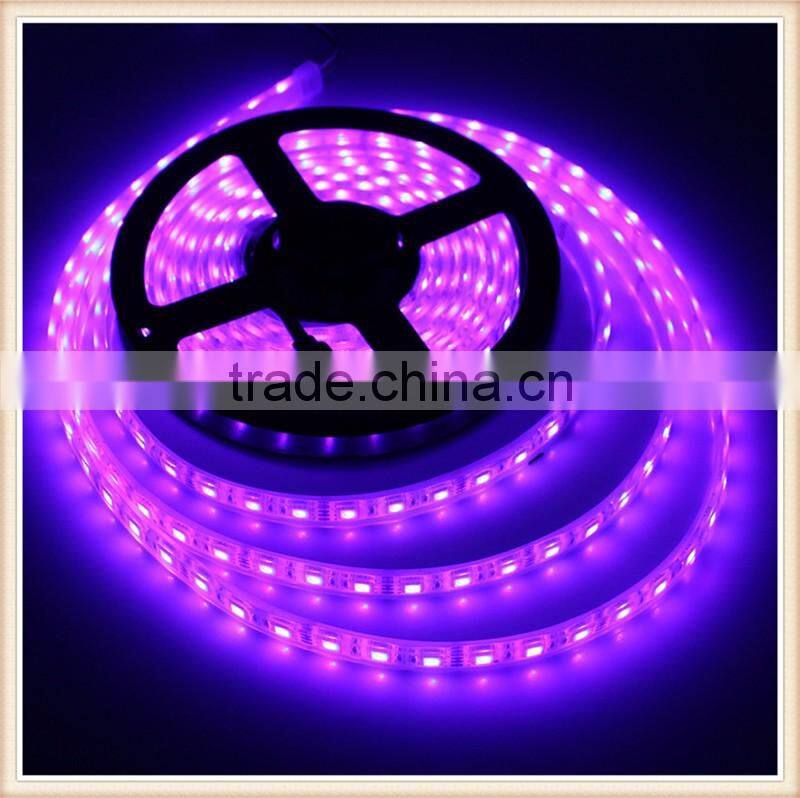 LED Light Source and Flex LED Strips Type 5 Meter 5050 SMD Rigid RGB led strip light