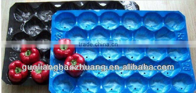 Hot Sale 5LB/10LB/15LB Fresh Tomato Tray Packaging