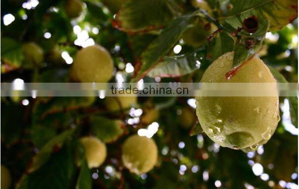 canned pear slices in natural juice