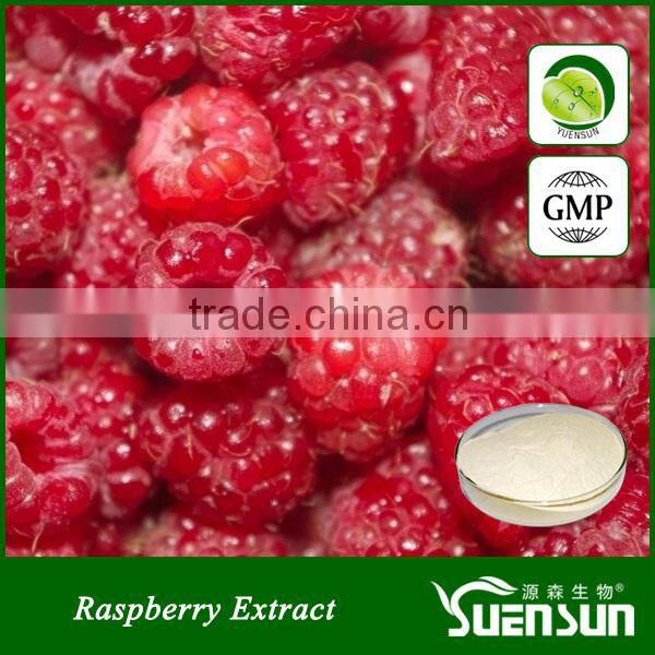 Alibaba gold supplier raspberry extract raspberry powder natural raspberry ketone