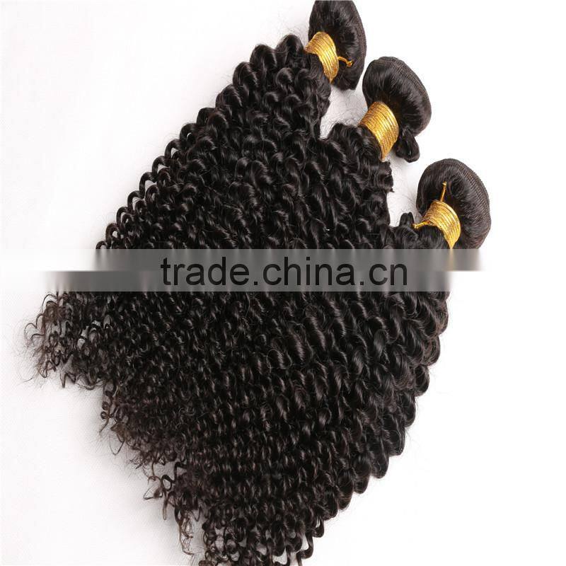 Grade 7A Malaysian Virgin Hair Water Wave 4pcs Lot Free Shipping Cheap Malaysian Curly hair 8"-30" Remy Human Hair Weave