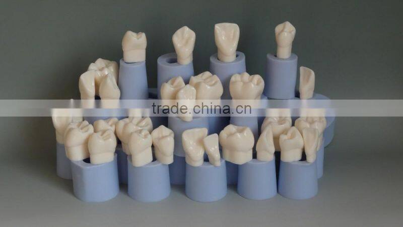 High Quality 4 Times Dental Crown Silastic Mould
