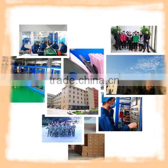 High Quality Disposable pet Bed Pad ODM/OEM