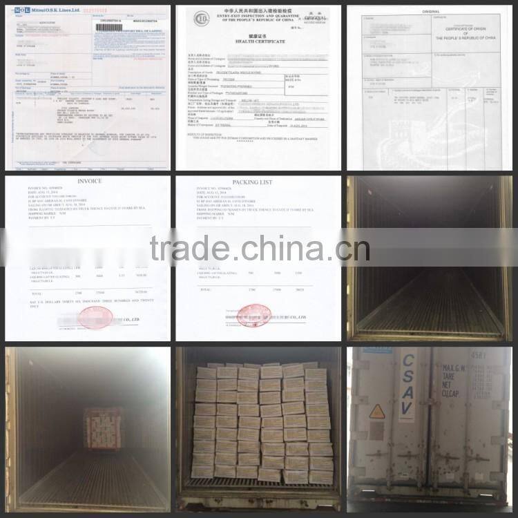 Trachurus Trachurus Horse Mackerel Frozen Fish