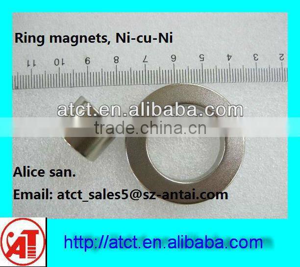 Sintered Rare earth Neodymium ring magnet