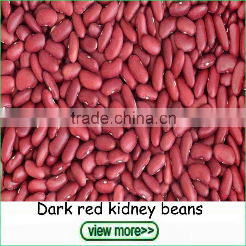 Export Grade Shine Skin Pumpkin Seeds in Bulk