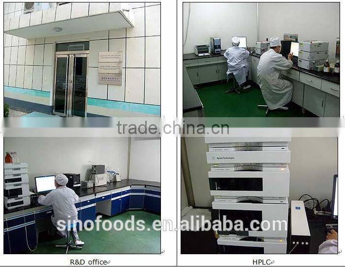 factory supplier cheap basil oil holy basil oil