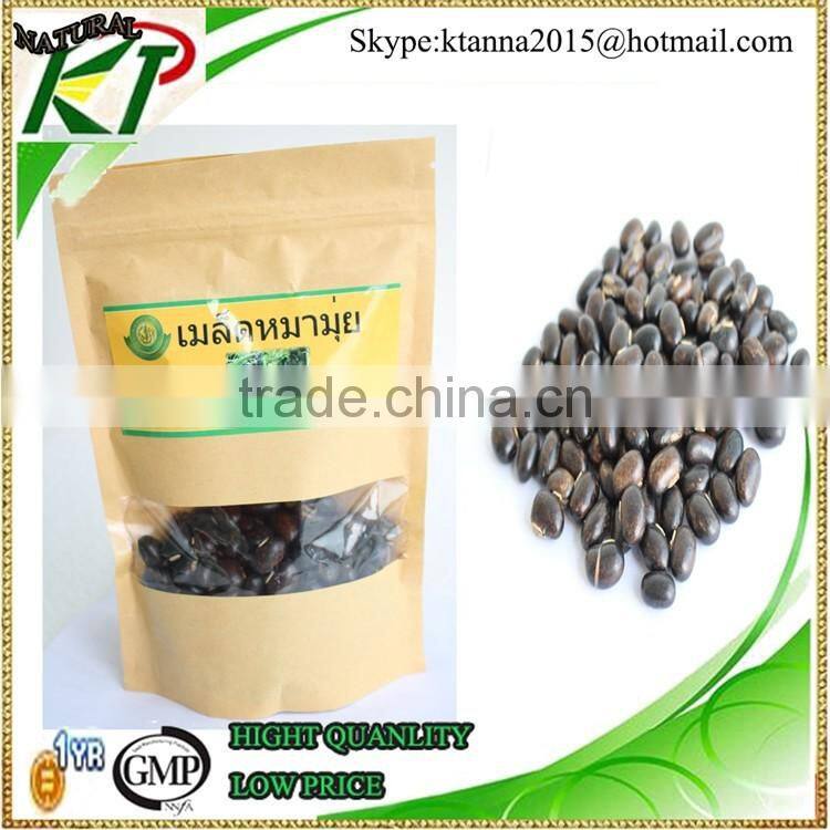 herbal velvet bean to treatment male infertility