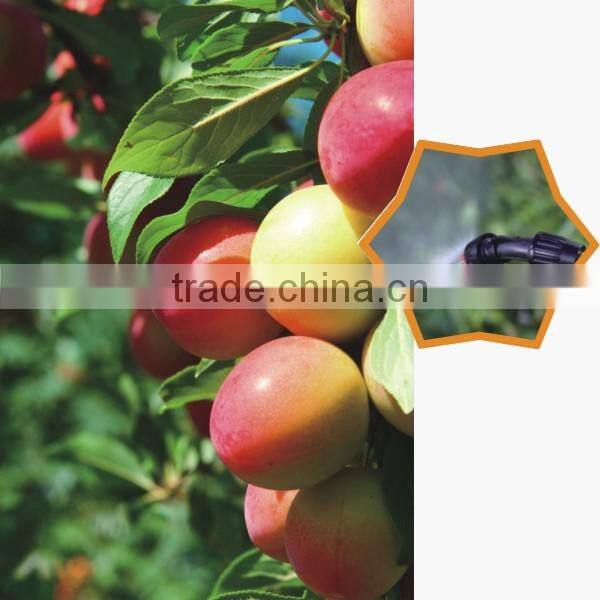 Meitai sprayer high quality agricilture pressure sprayer