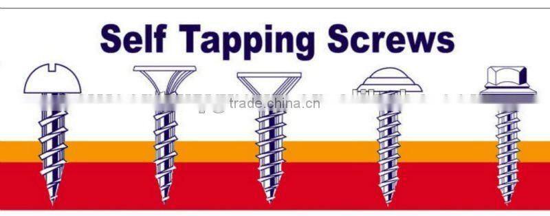 self tapping screw with all kinds of head and sizes
