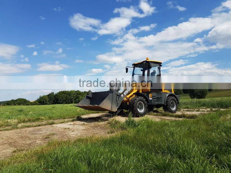 EVERUN brand CE Hoflader ER08 with Snow bucket