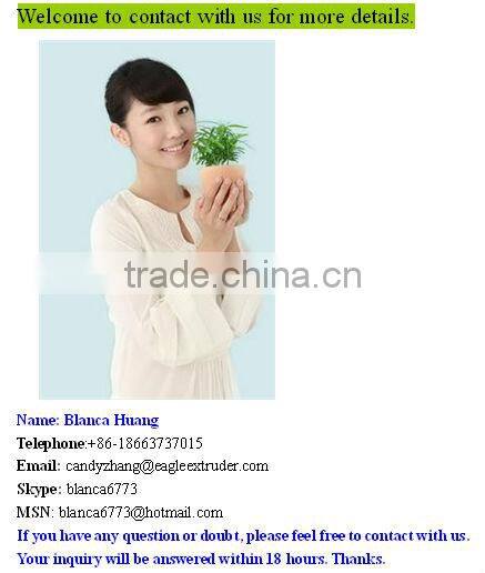 DP150 mini potato chips/fava beans packaging/packing machine