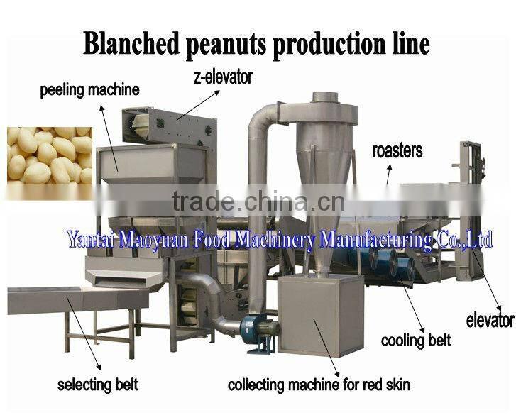 TOP QUALITY peanut blanching machine manufacture