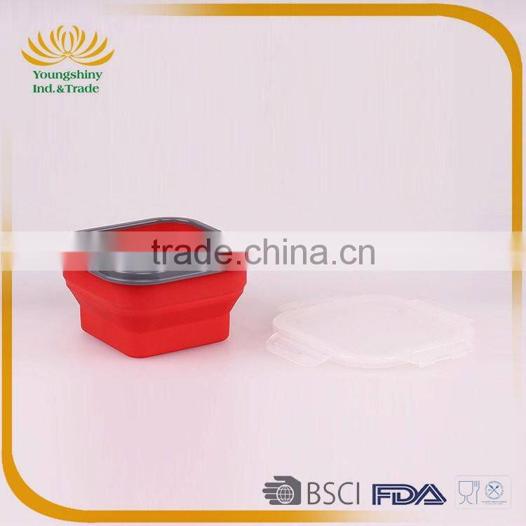 Silicone collapsible biodegradable lunch box