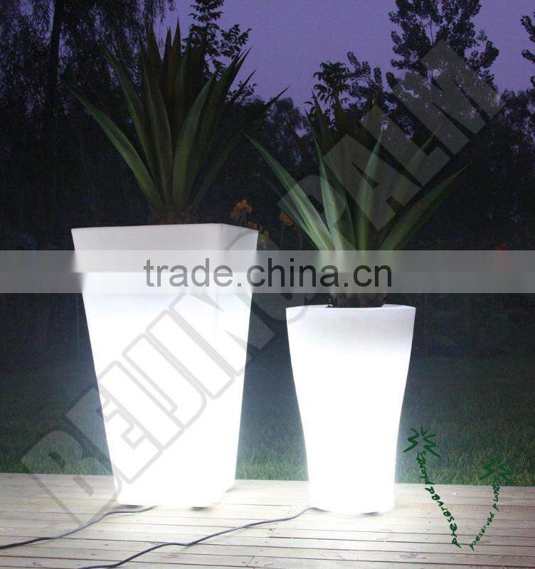 Flower pot with some plants