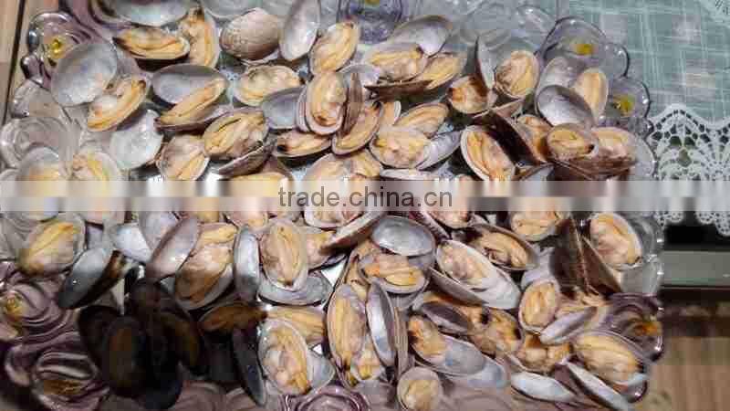Frozen whole cooked Vacuum packing clam in available price