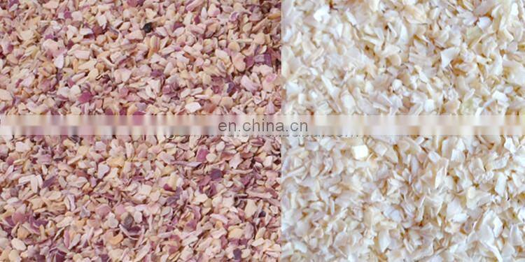 Dehydrated Red Onion Powder processing plant