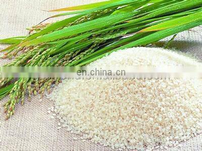 sesame washing and drying machine/sesame cleaning and grading machine/rice wheat seed cleaning machine